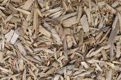 biomass boilers Gignog